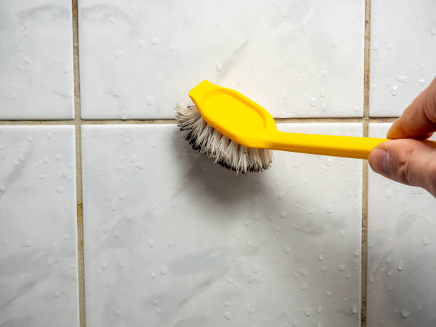 Best Commercial Mold Removal  in Halstead, KS