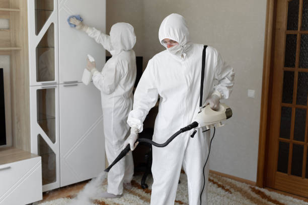 Best Mold Cleaning Services  in Halstead, KS