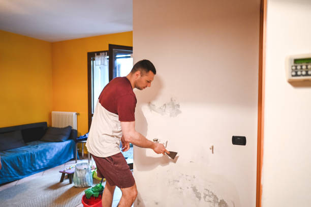 Best Professional Mold Removal  in Halstead, KS